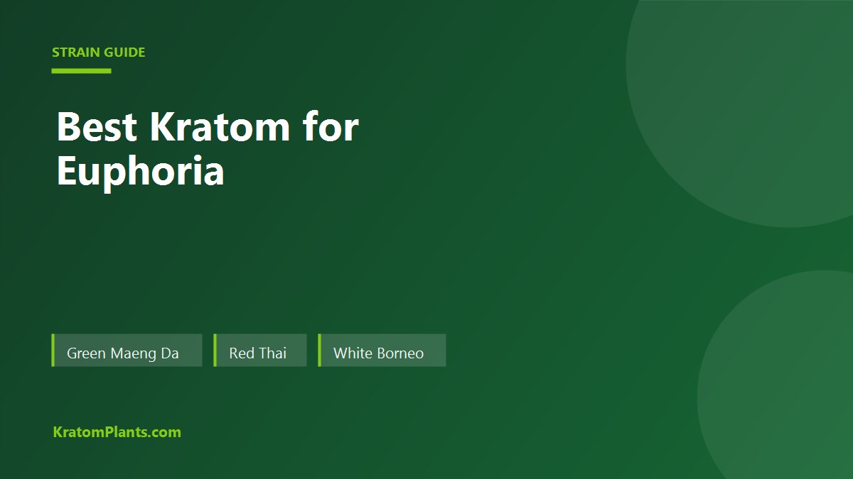 Best kratom for euphoria guide covering Green Maeng Da, Red Thai and White Borneo