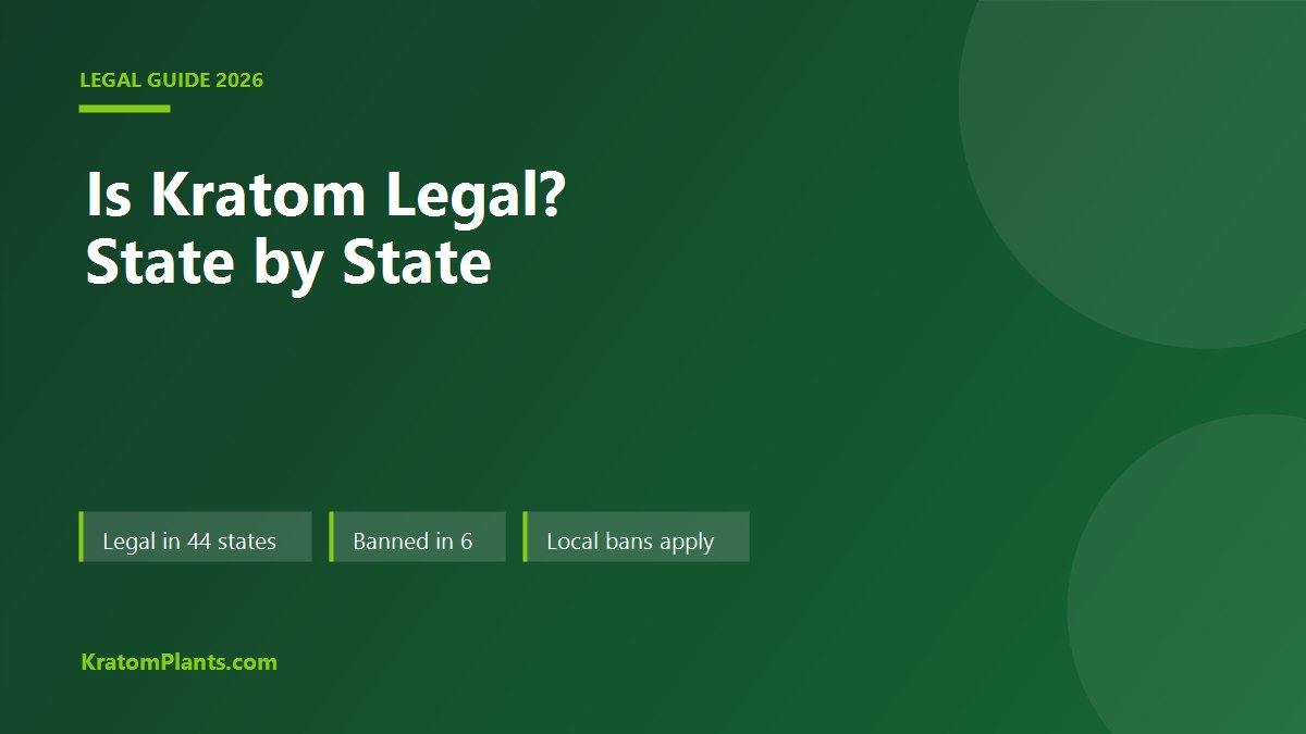 Is kratom legal state by state guide for 2026